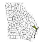 Georgia county map with Bryan County